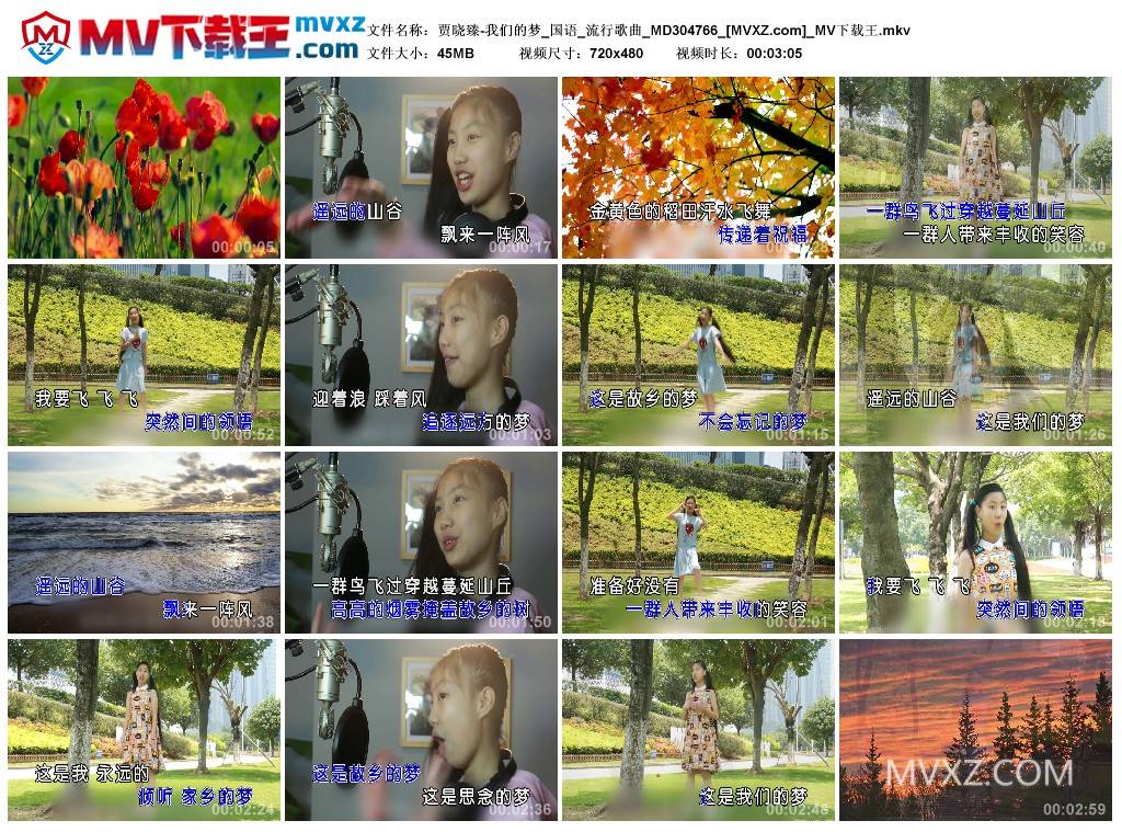 贾晓臻-我们的梦_国语_流行歌曲_MD304766